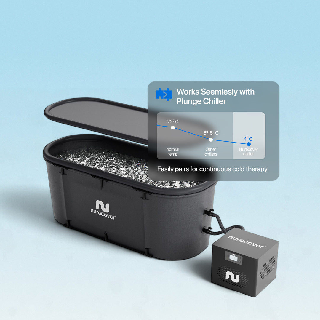 Winter-Arc-Deal: Sauna + Dampf + Tauchgang